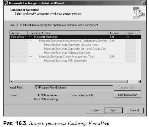   Exchange Server 2003       